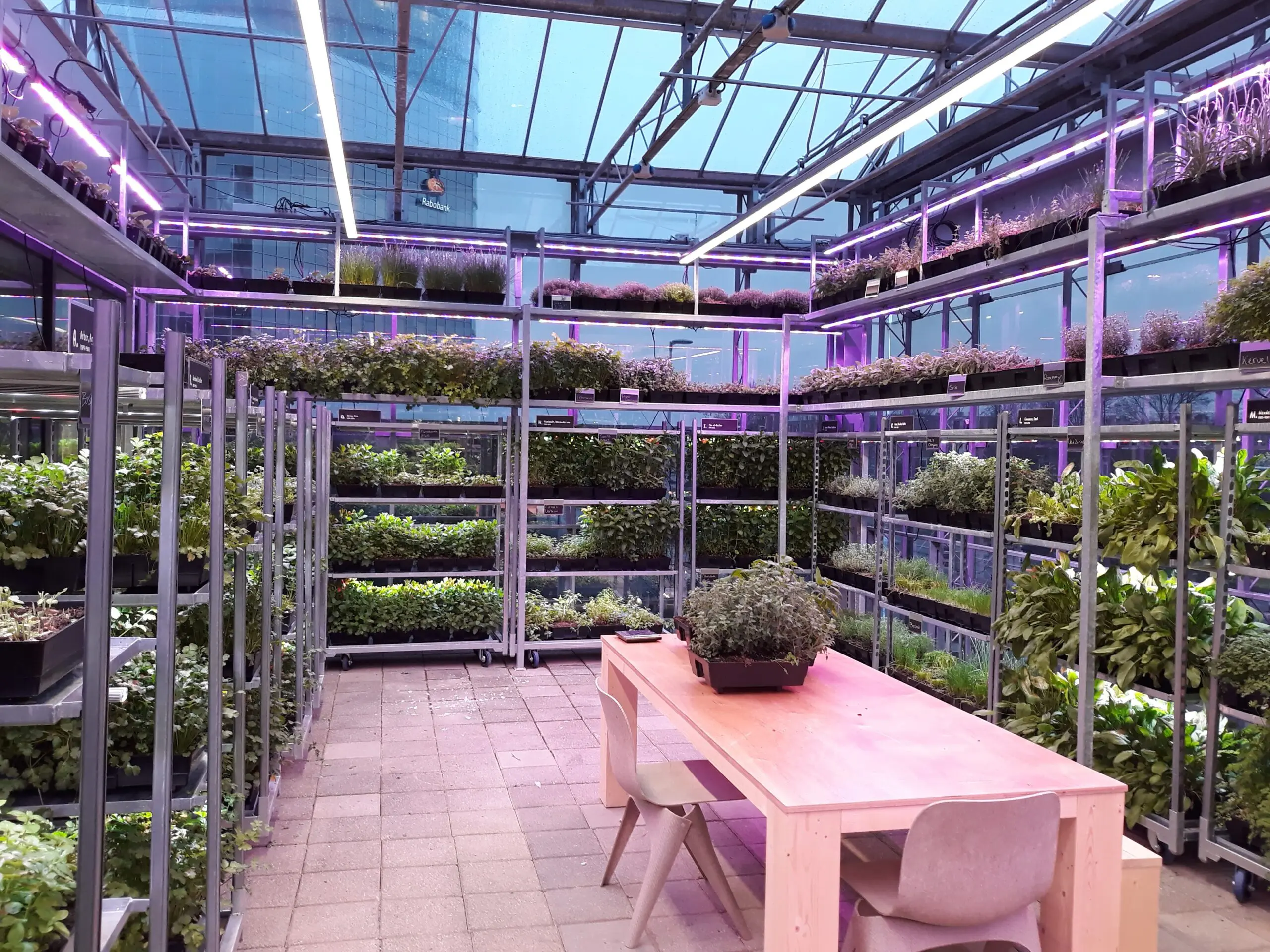 The Green House table