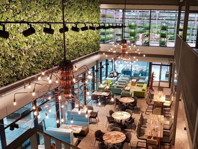 The GreenHouse inside