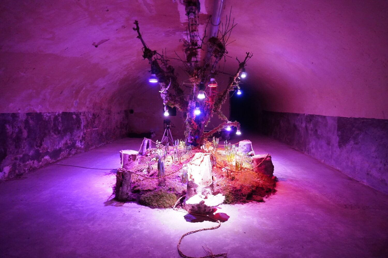 kunstproject anna berendsen